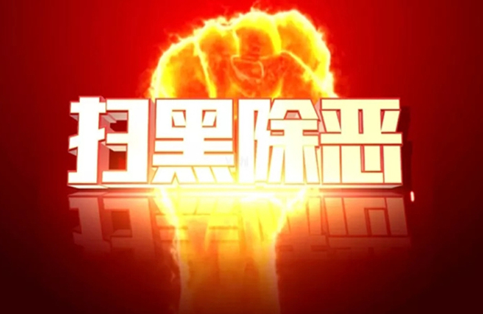 宝坻警方打掉一强揽工程涉恶团伙