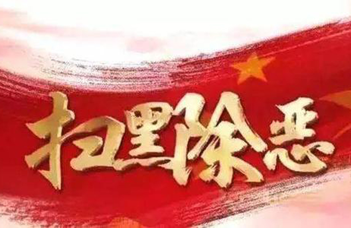 中央扫黑除恶第12督导组 继续深入天津市开展实地督导检查 以斗争精神推动 扫黑除恶向纵深掘进