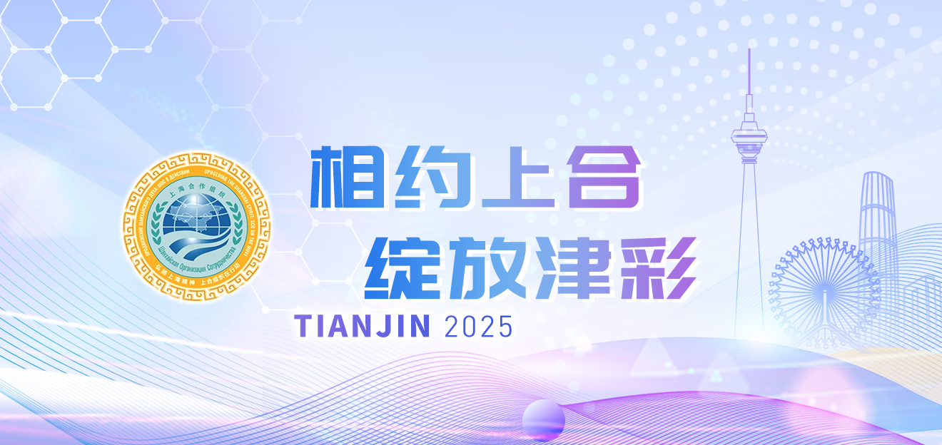 2025上合组织峰会