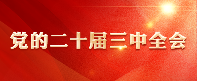 党的二十届三中全会